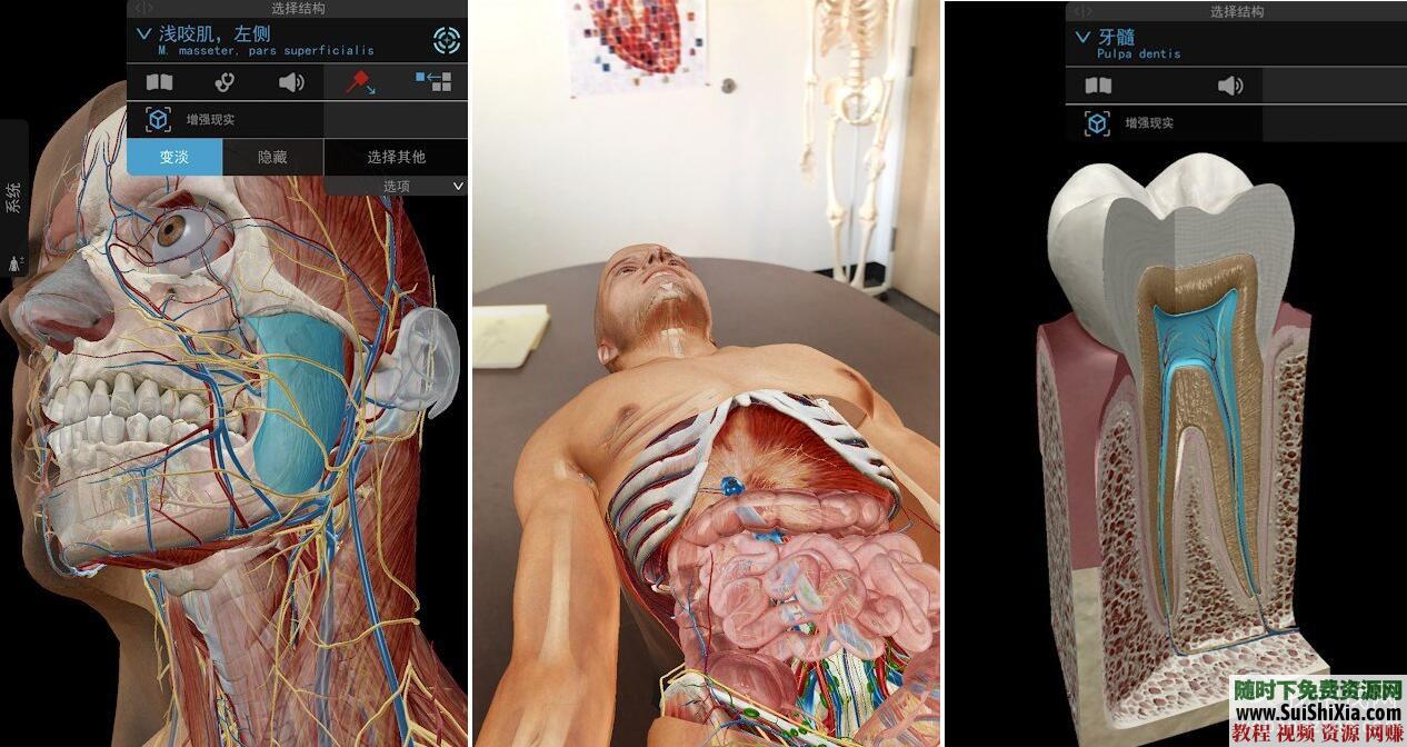 2019人体解剖学图谱app 最新Atlas破解 付费版 数据下载 安卓  最新Atlas2019人体解剖安卓APP破解+付费版+数据打包下载 第2张