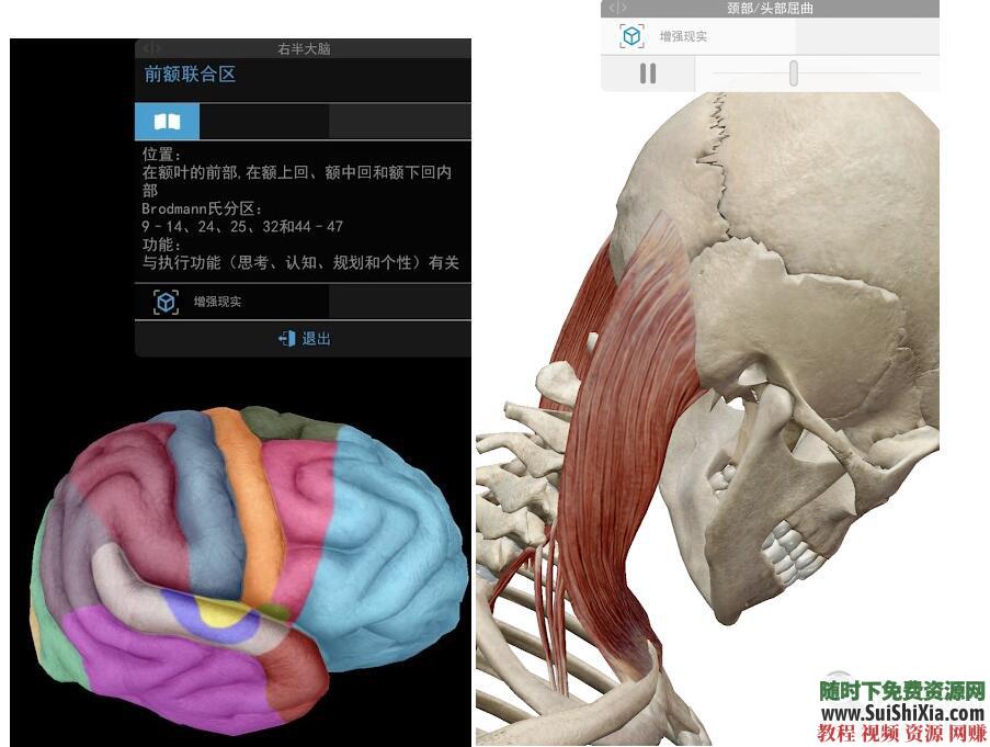 2019人体解剖学图谱app 最新Atlas破解 付费版 数据下载 安卓  最新Atlas2019人体解剖安卓APP破解+付费版+数据打包下载 第3张