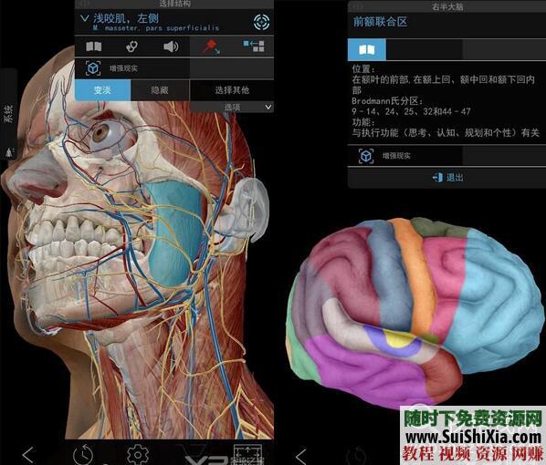 2019人体解剖学图谱app 最新Atlas破解 付费版 数据下载 安卓  最新Atlas2019人体解剖安卓APP破解+付费版+数据打包下载 第4张