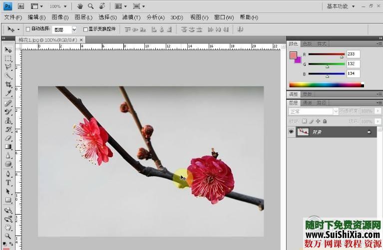 零基础学Photoshop CS5到高手视频教程共132集+练习素材 第4张